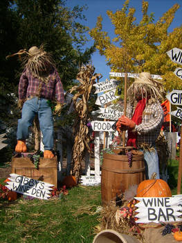 Wine Brewing Scarecrow