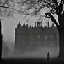The evening fog lingered heavily around the Balfou