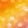 Sunny Sunset Bokeh