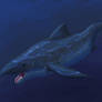 A terrifying Helicoprion