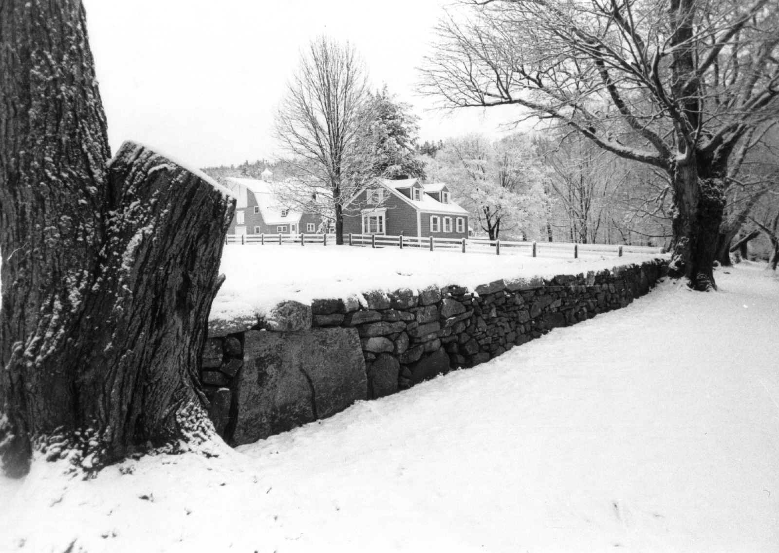 winter stone wall