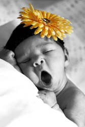 Precious Yawn (Marianna)