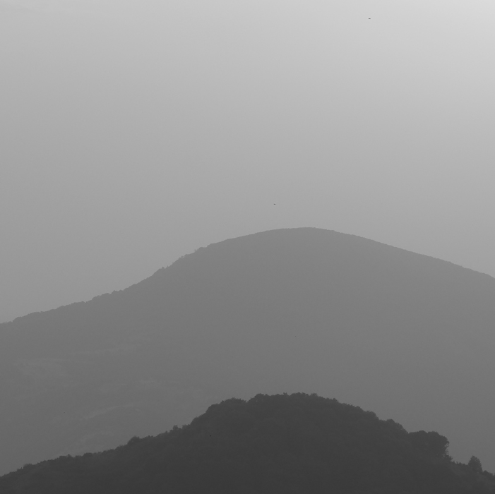 These mist-covered mountains