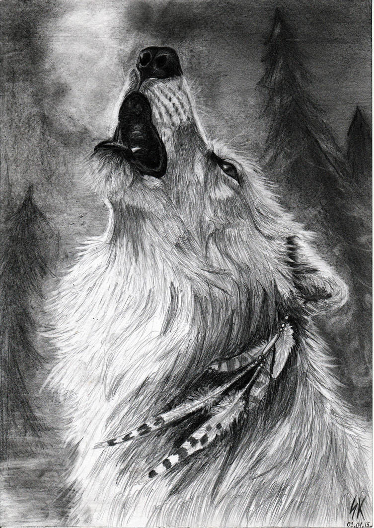 Howling Wolf Pencil Drawing By Vilkupl On Deviantart