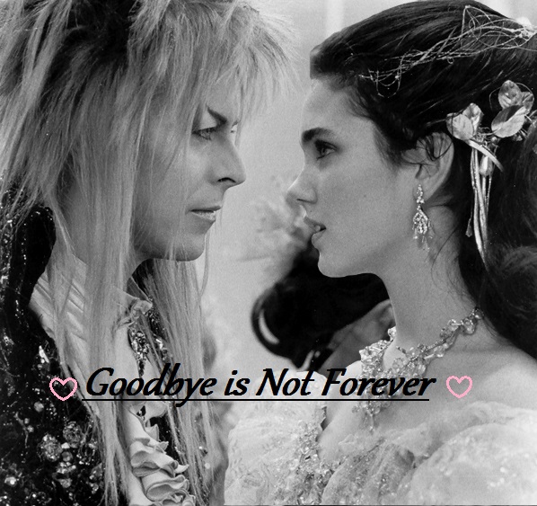 Goodbye is Not Forever: Second Cover