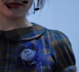 blue rose