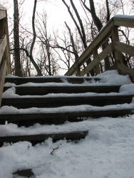 snow steps