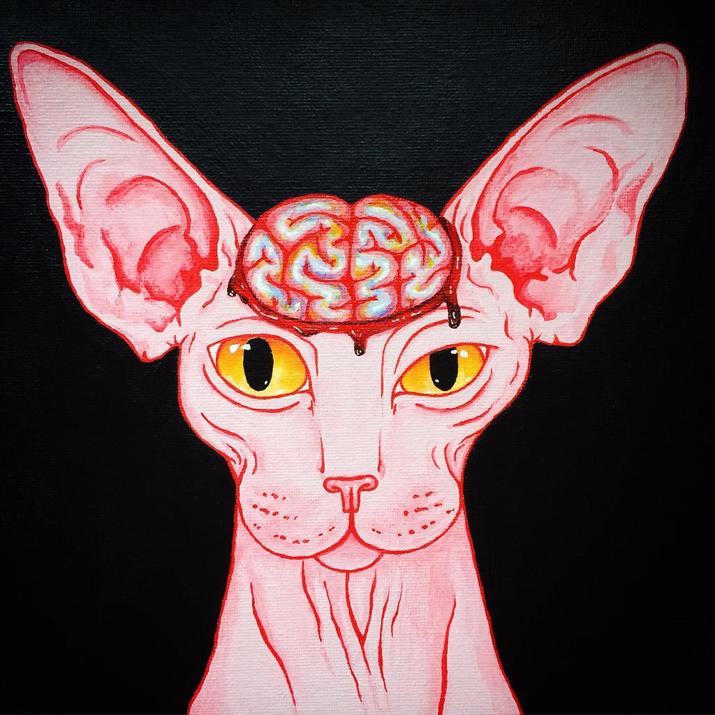 Sphynx Brains