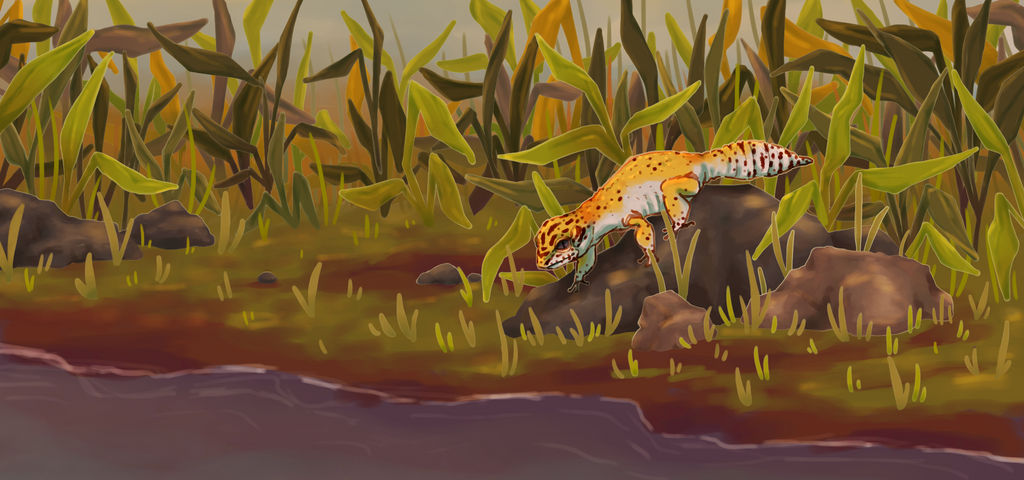 Gecko Deviantart gecko by sodiipop on DeviantArt
