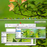 Leafy Flowery Desktop