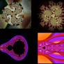 Apo plugin-directed coloring 2