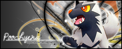 Banner: Poochyena, Spotlight