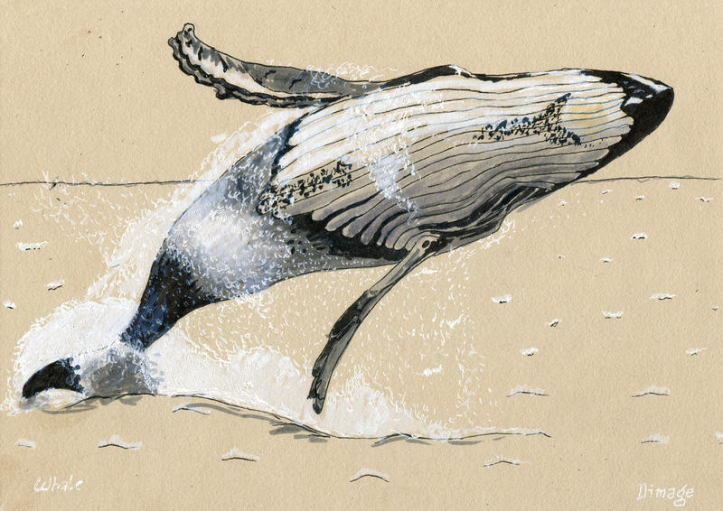 Inktober 2018 - whale