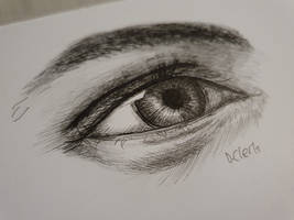 Pen eye study