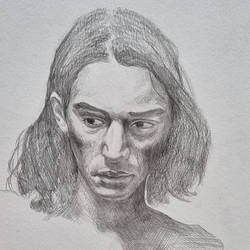 portrait sketch