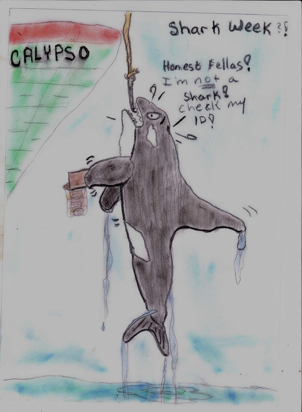 Shark Week by bearded-sausage on DeviantArt