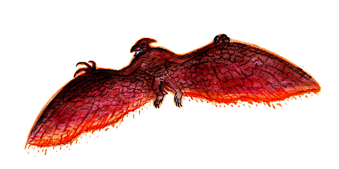 Rodan Design by EdHead0927 on DeviantArt