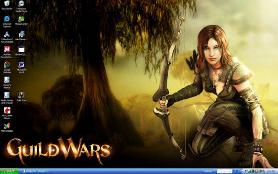 guild wars desktop