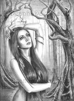 Ancient Dryad