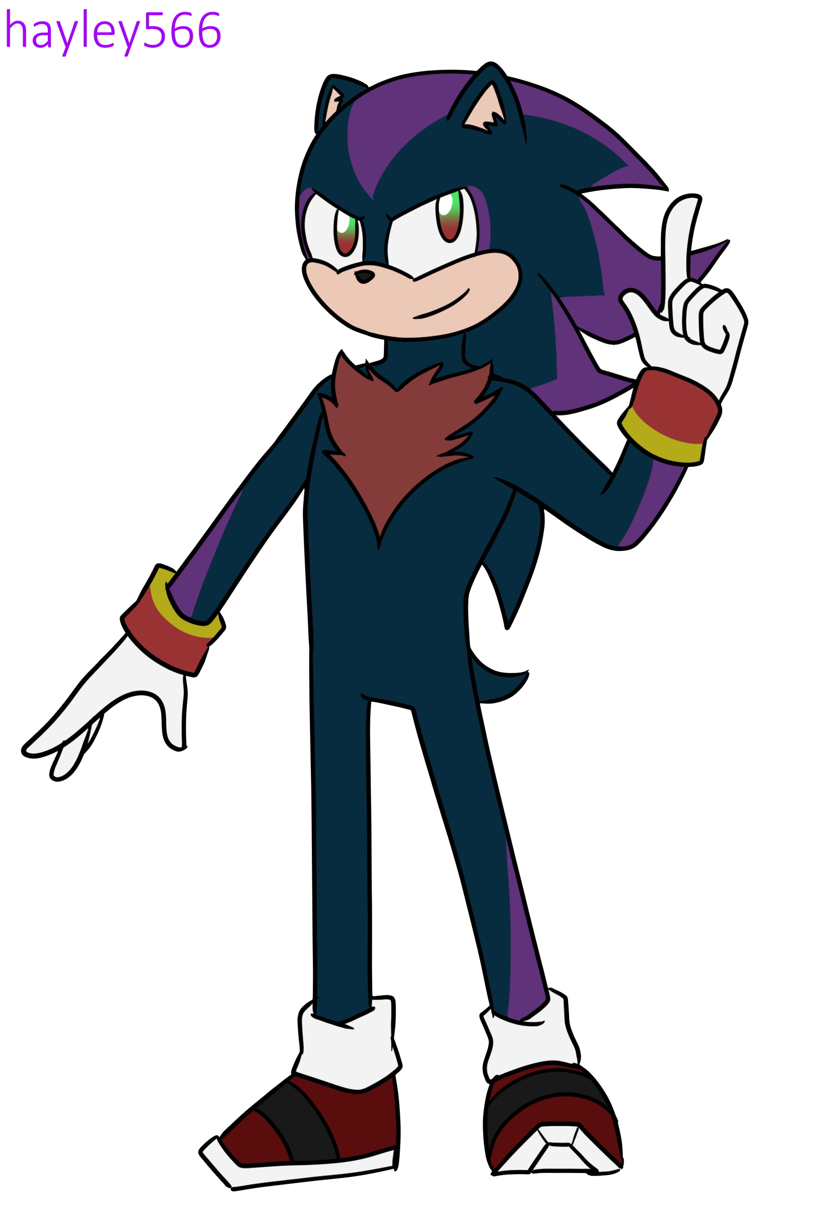 Sonic and Shadow fusion PNG by KillerMadnessPlayer on DeviantArt