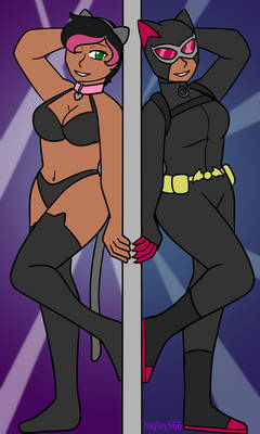 The Dynamic Catwoman