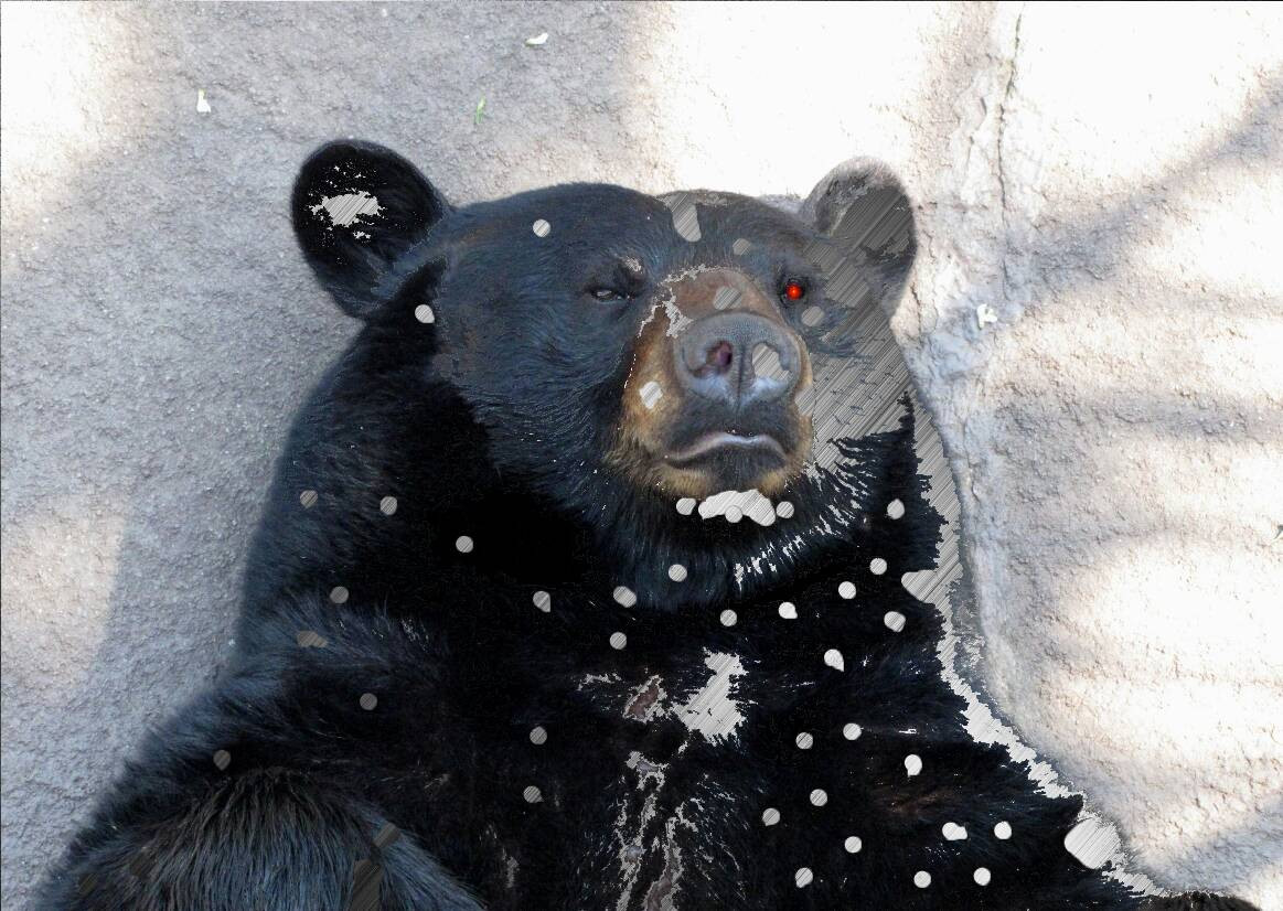 TERMINATOR BEAR T-900 MODEL 101