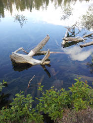 Manzanita Lake