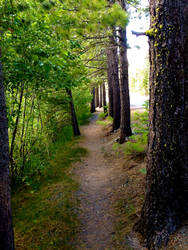 LVNP: Manzanita Lake