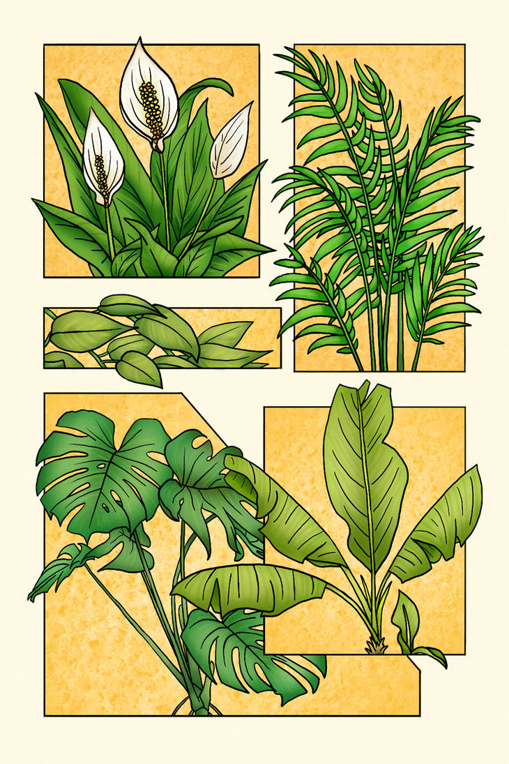 Plant Deviantart Houseplants by rynling on DeviantArt