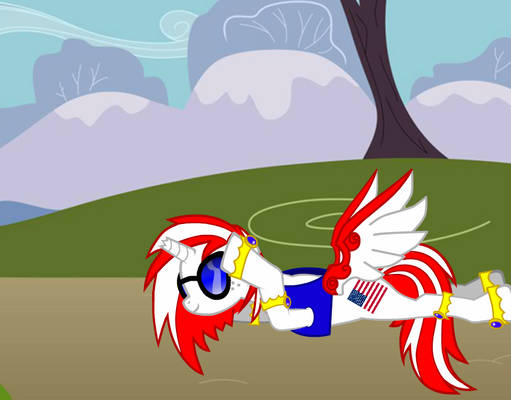 Usa Pony