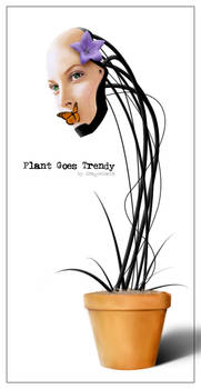 Plant Goes Trendy