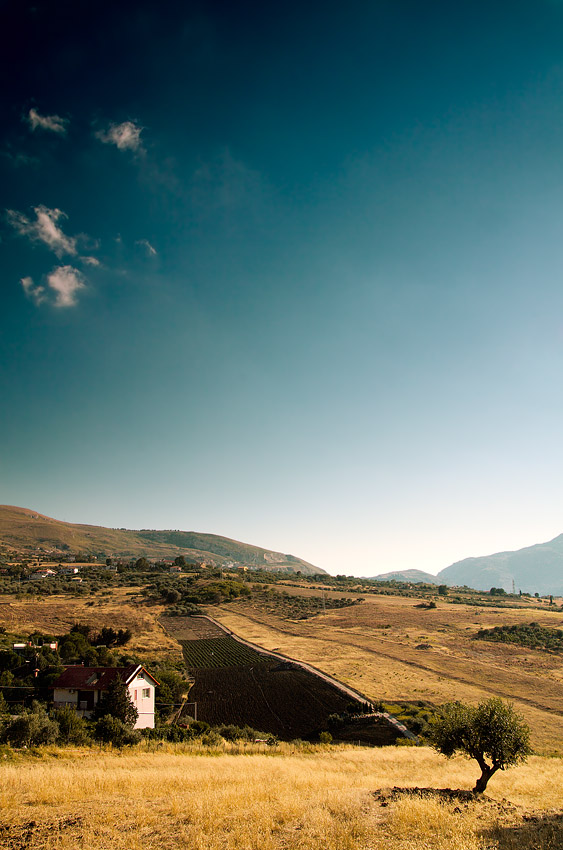 Sicily's country