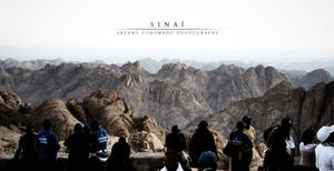 Sinai