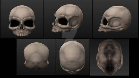 Skull render