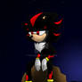 4. Shadow the Hedgehog