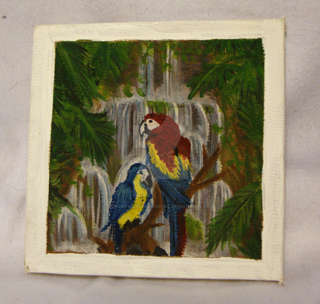 2X2 Macaw Painting