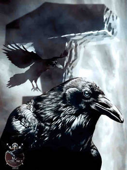 Ravens with Thor's hammer