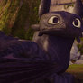 Wha? Toothless Gif