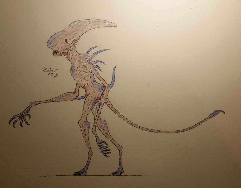 How to draw Alien (Alien Covenant) 