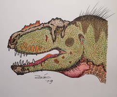 Tyrannosaurus rex MB.R.91216 Tristan Otto