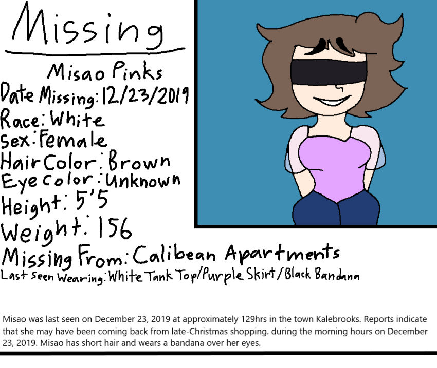 Code Pink Missing Person Missing Person Report by RainbowDoggo612 on DeviantArt
