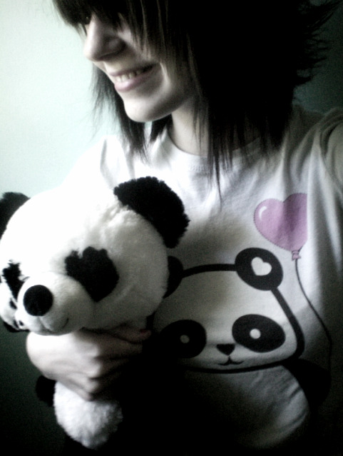 panda bear, panda bear,