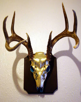 -Gilded white deer skull-