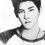 Infinite - Hoya