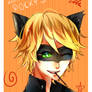 Pocky Day - Chat Noir