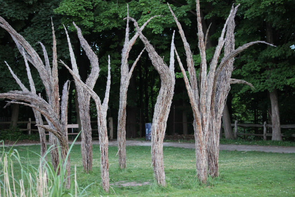 Inverted Roots by neural--circuits on DeviantArt