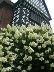 Speke Hall