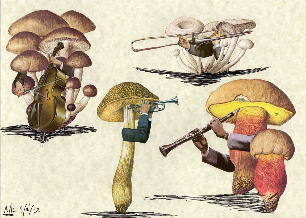 Musical Mushrooms