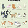 Cat breed poster