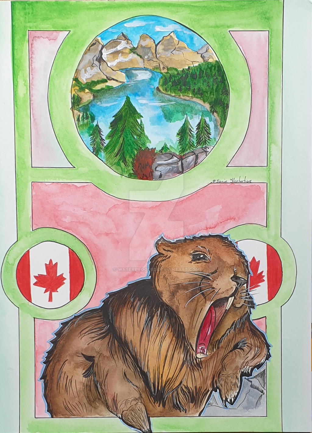 National animal of canada: The beaver by Waterproofed on DeviantArt